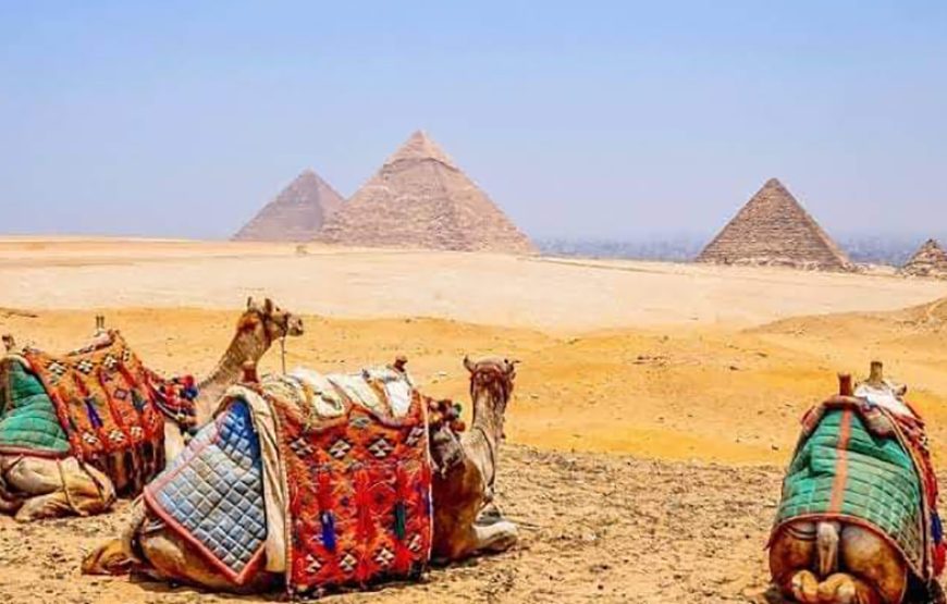 Camel /horses Ride around the Pyramids