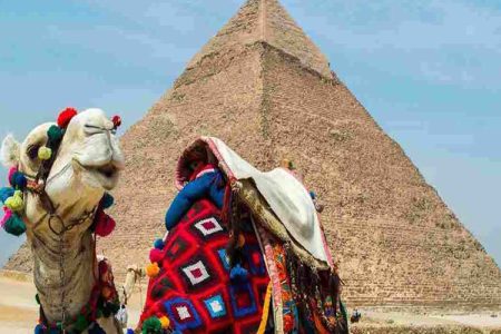 Camel /horses Ride around the Pyramids