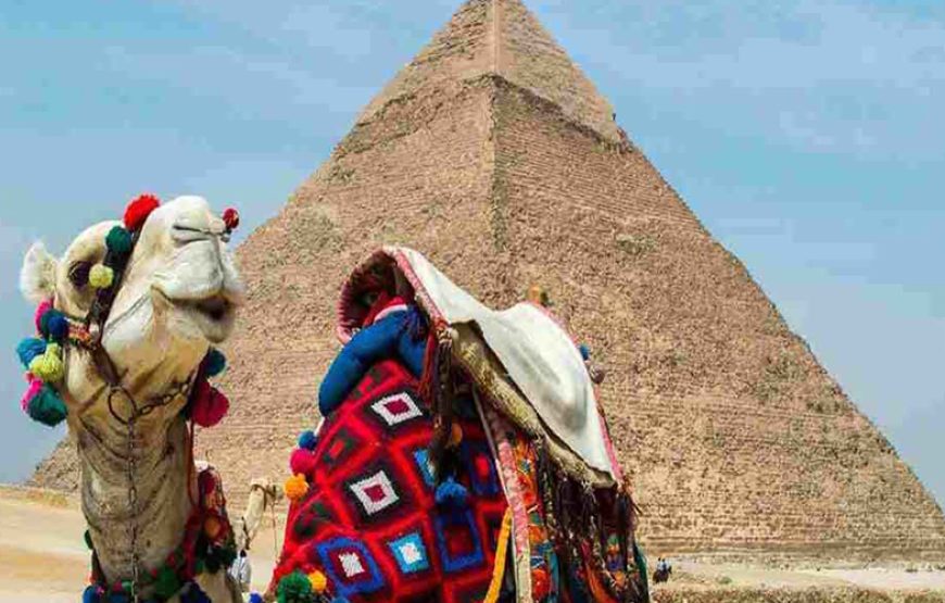 Camel /horses Ride around the Pyramids