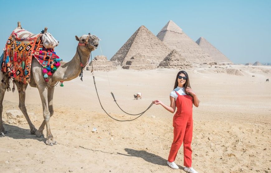 Camel /horses Ride around the Pyramids